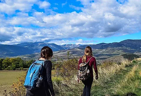 Hiking and Forest Therapy Classes for Families and Adults